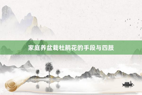 家庭养盆栽杜鹃花的手段与四肢
