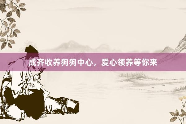 成齐收养狗狗中心，爱心领养等你来